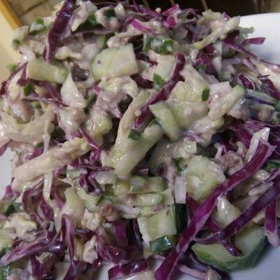  سلطه الرنجه 