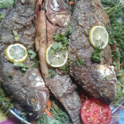  سمك بلطي مقلي 