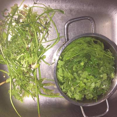  تنظيف حزم الكزبرة والبقدونس والشبت 