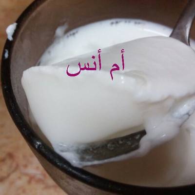  طريقة عمل الزبادى البيتي 