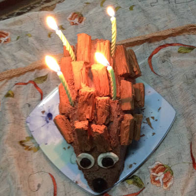  تورتة القنفذ 