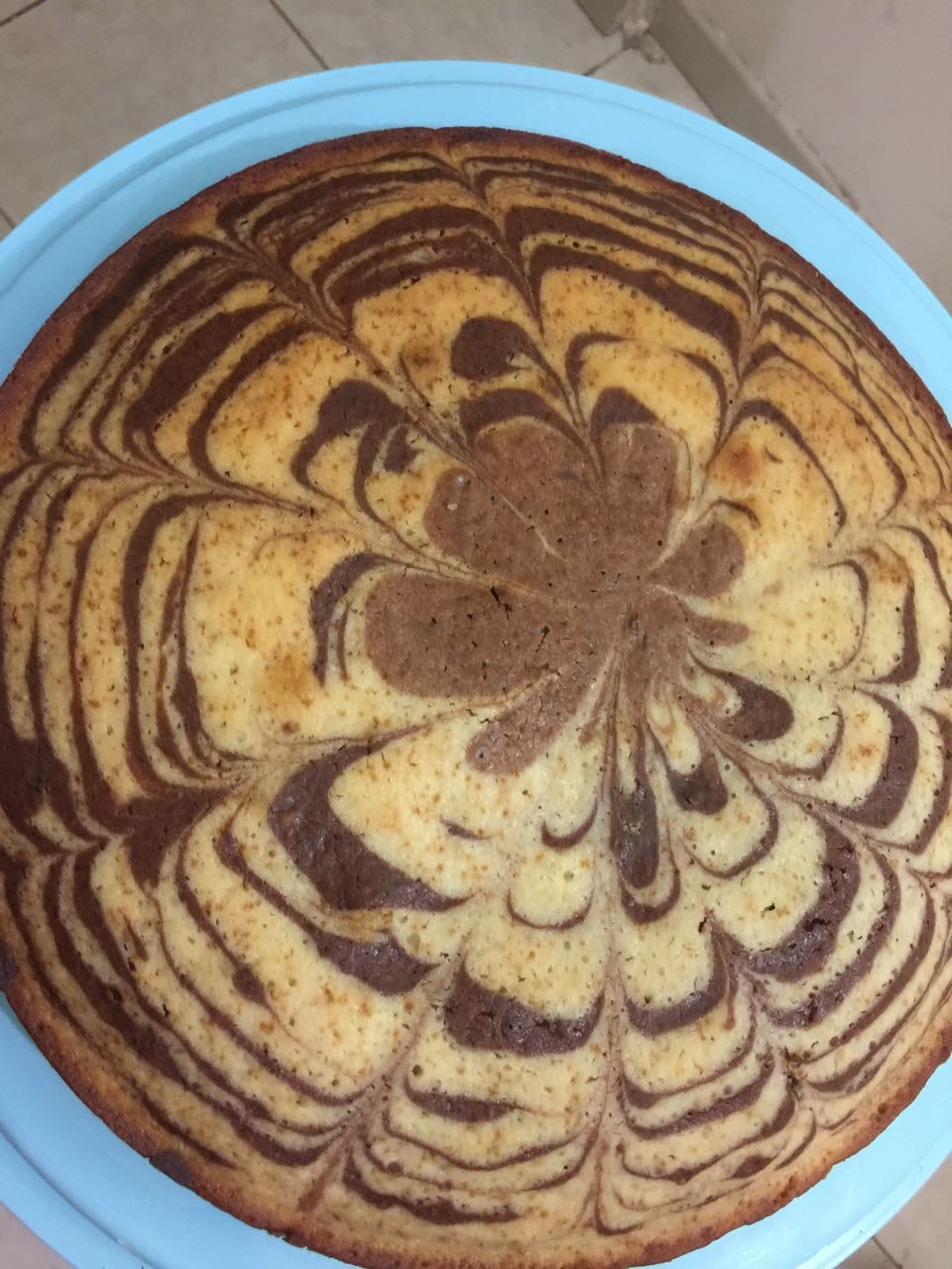  كيكة #كيكة_ناجحة 