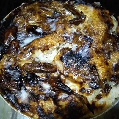  رز معمر بالحمام 