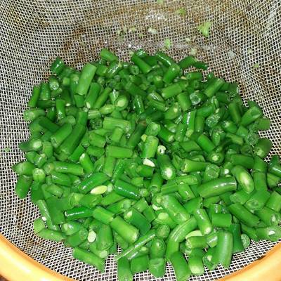  تفريز الفاصوليا الخضراء 