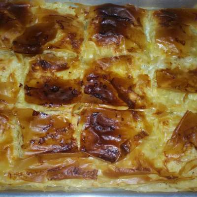  جلاش بالسويس 