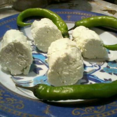  عمل الجبن القربش 