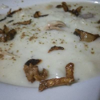  كشك الماظيه 