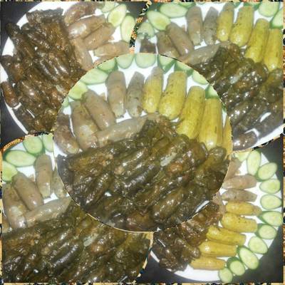  محشي ورق العنب والكوسة والباذنجان