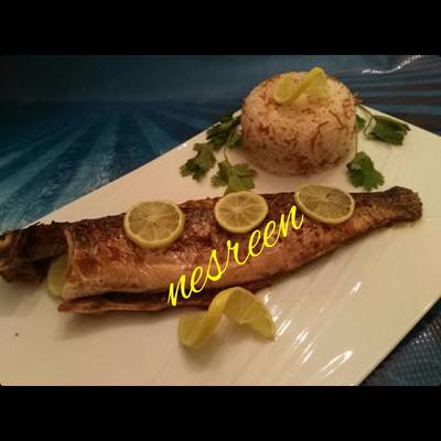  السمك السنجاري الدمياطي 