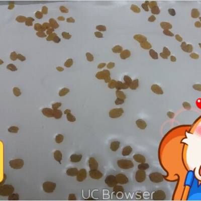  حلوى القشطة 