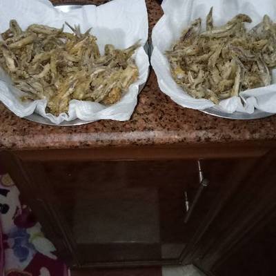  باسريا مقليه 