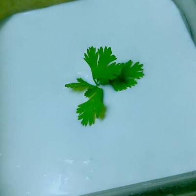  ثومية بالزبادي 