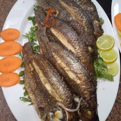  سمك بلطي مشوي بالفرن 