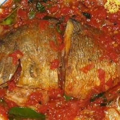  سمك بلطى بصوص الطماطم 