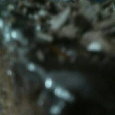  كيك بالشكولاته 