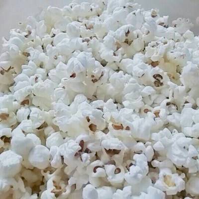  فشار بالجبنة الرومى والشيدر 