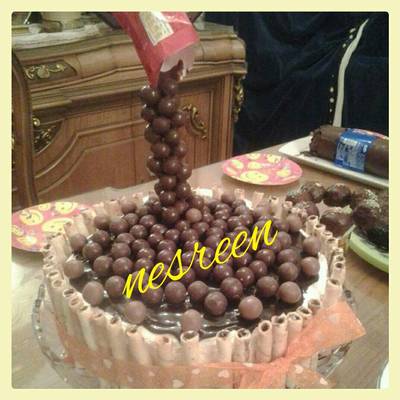  تورته المالتيزر 