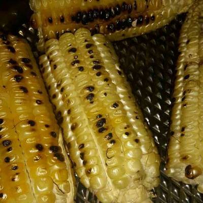  ذرة مشوية على اختزان حرارة القاعدة #اكلات_ للعروسة 