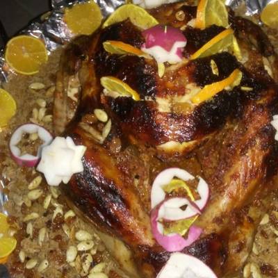  الديك  الرومي 