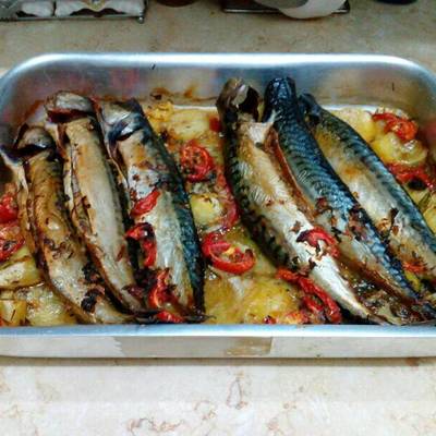  صنيه سمك بالبطاطس 