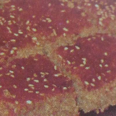  بسبوسه التمر 