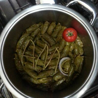  ورق عنب بشرائح لحم فلتو بالسوفت لاين اوانى الطهى الالمانية amc 