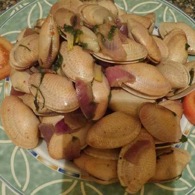  جندوفلى اسكندرانى 