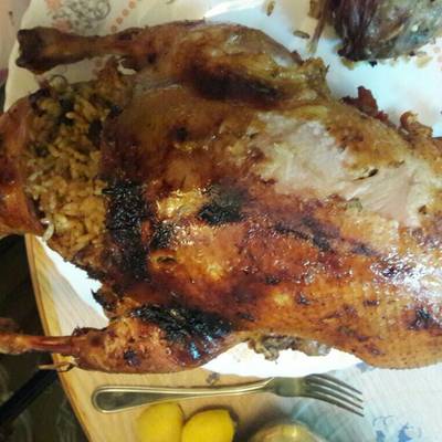  بط محشي....لسان عصفور 