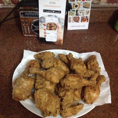  دجاج كنتاكي 