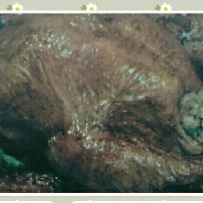  بطه محشيه بالفريك والكبده