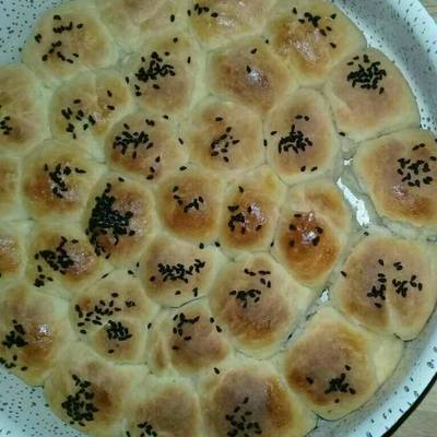  خليه النحل.