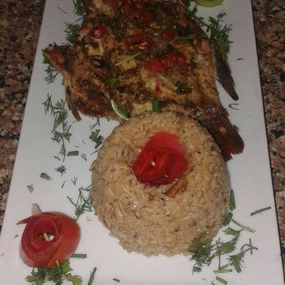  سمك سنجاري ورز بني 