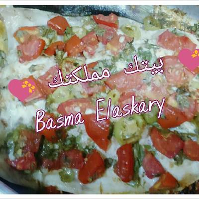  السمك السنجاري 